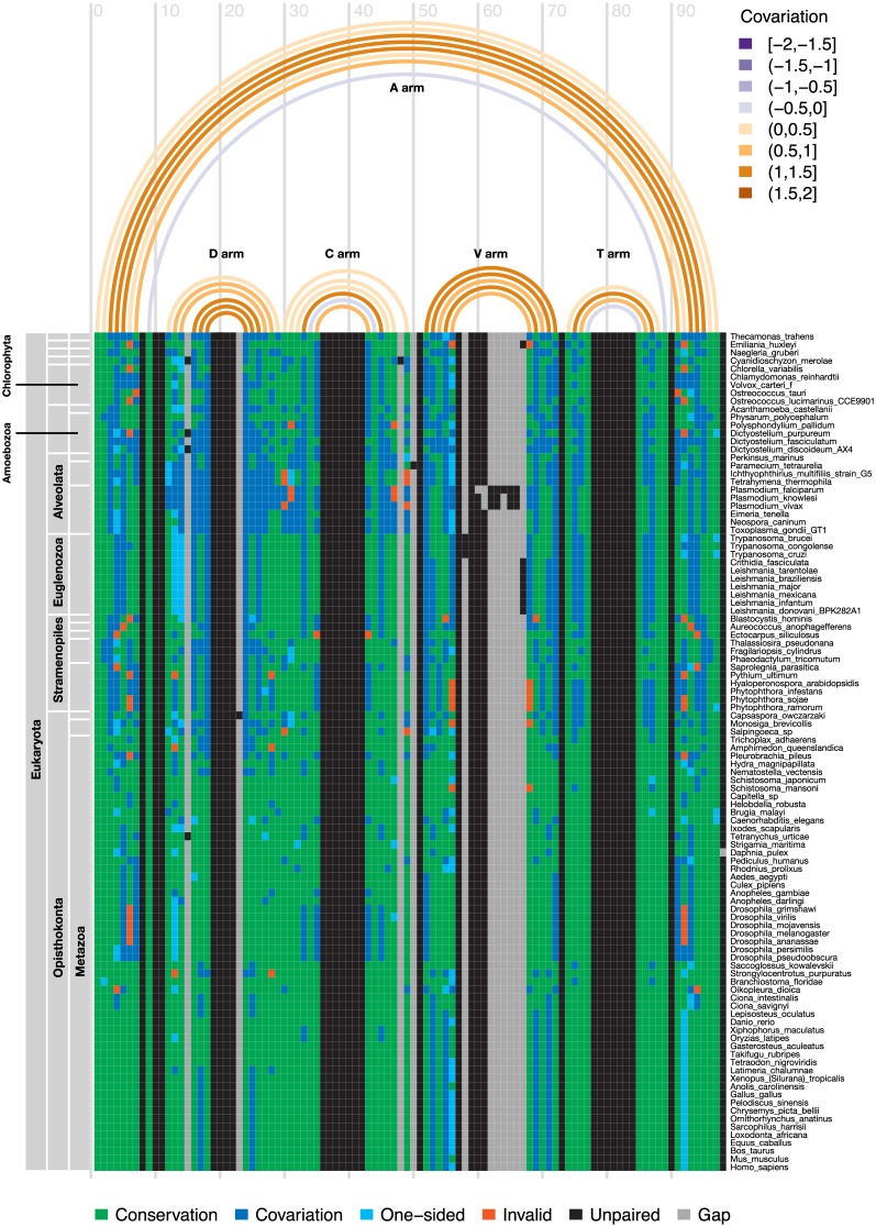 Fig 8