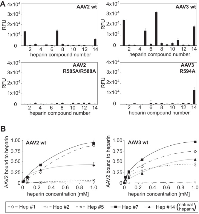 FIG 6