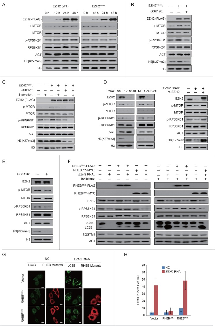 Figure 2 (see previous page).