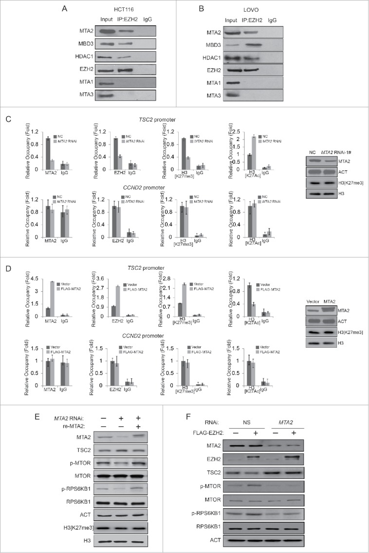 Figure 4 (see previous page).