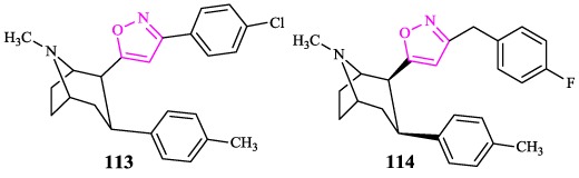 Fig. 22