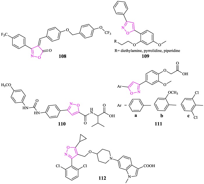 Fig. 21