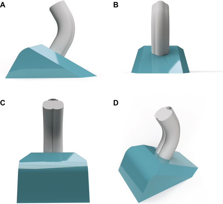 Figure 1