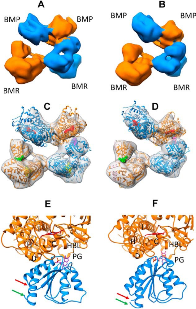 Figure 3.