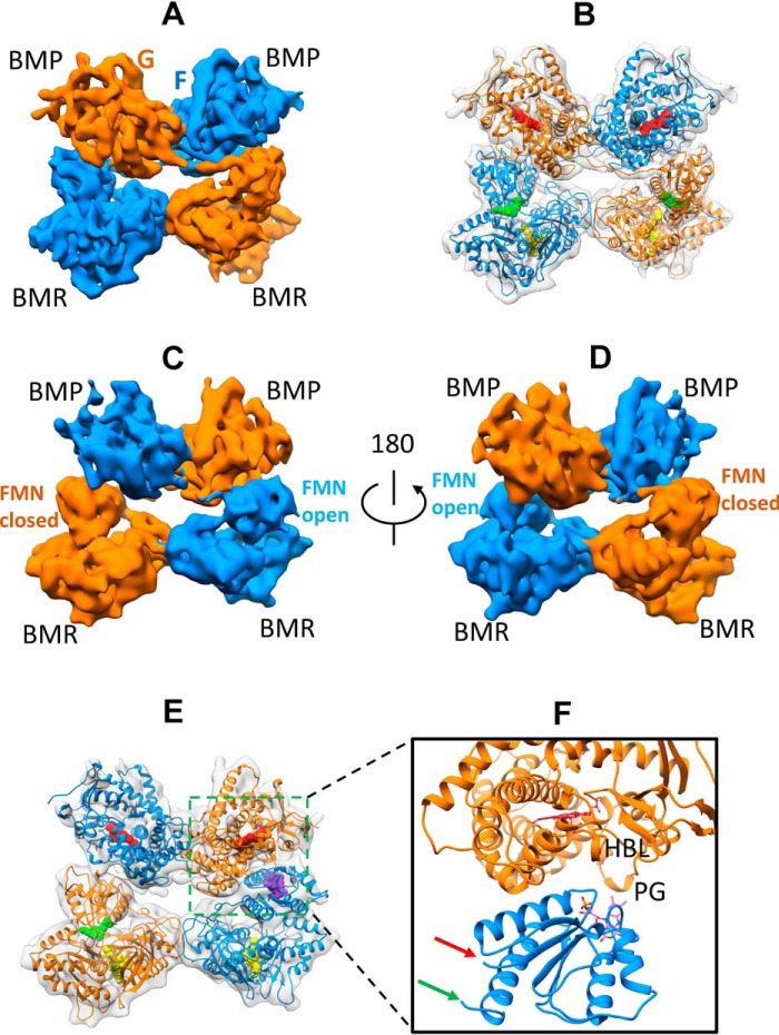 Figure 4.