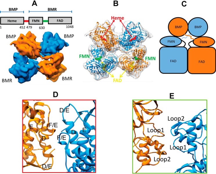 Figure 2.