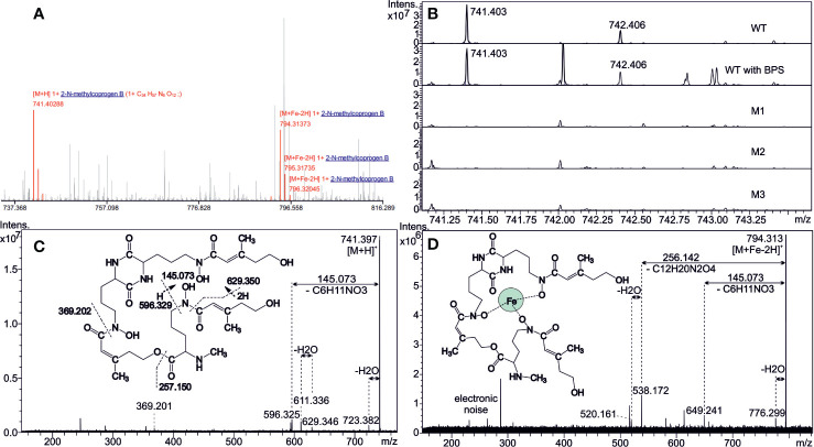 Figure 2