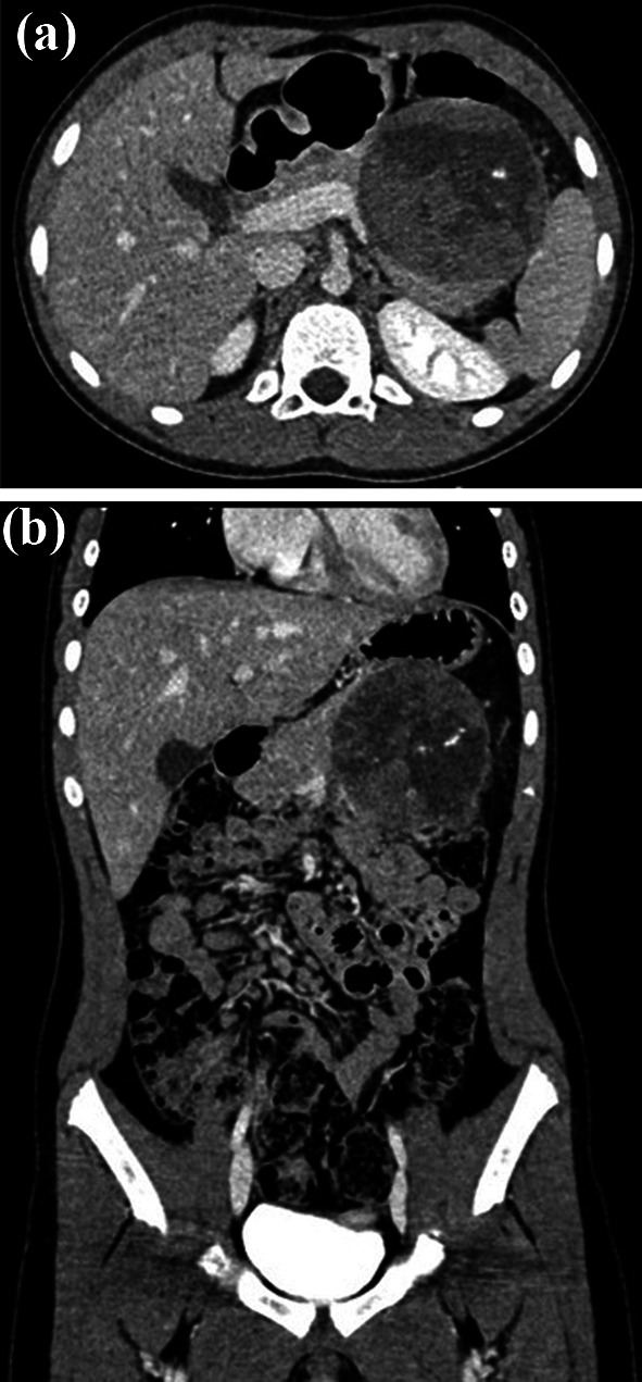 Fig. 3