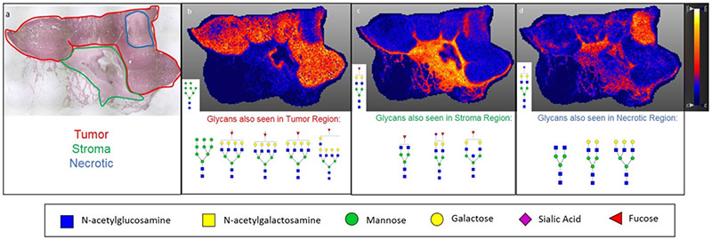 Figure 5: