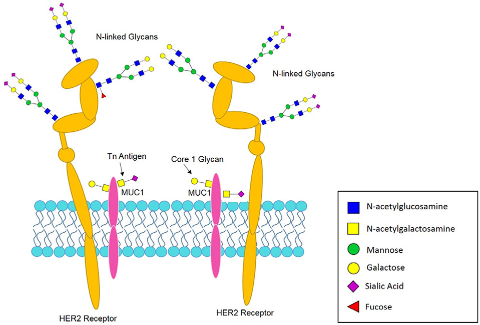 Figure 2: