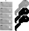 Fig. 3.