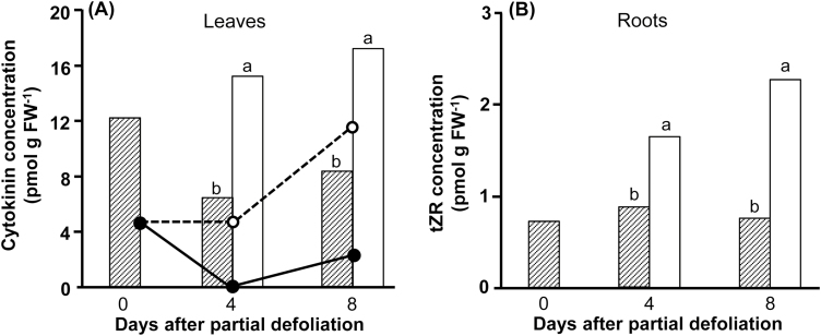 Fig. 8.