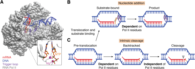 Figure 6