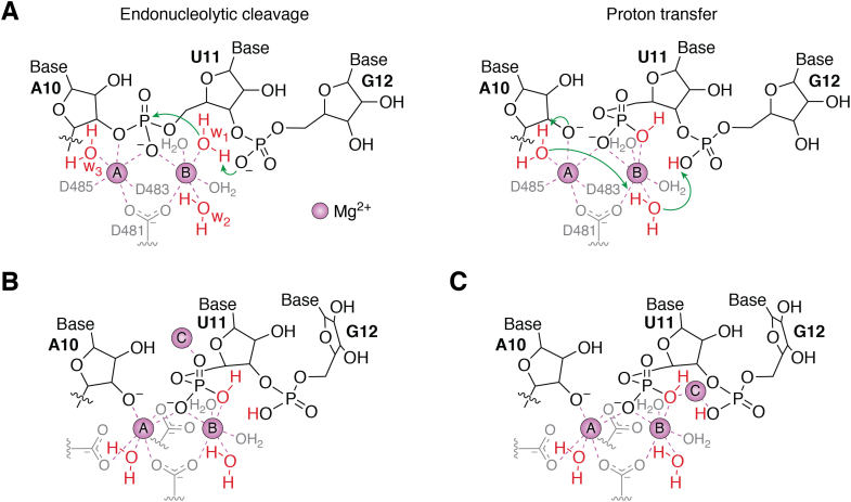 Figure 5