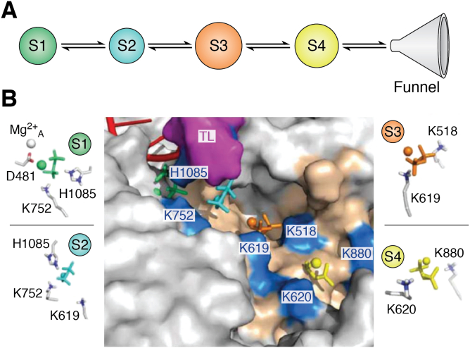 Figure 3