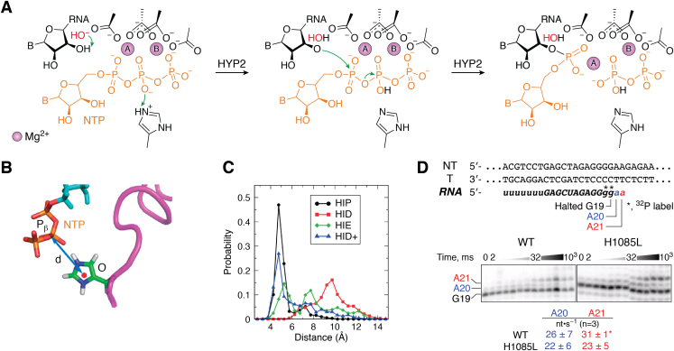 Figure 2