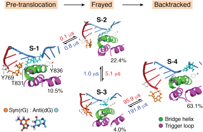 Figure 4