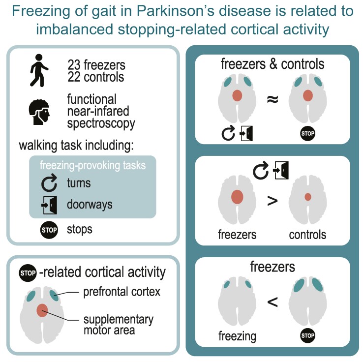 Graphical Abstract