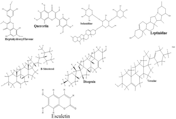 Figure 5