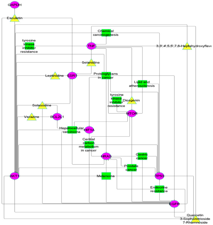 Figure 7