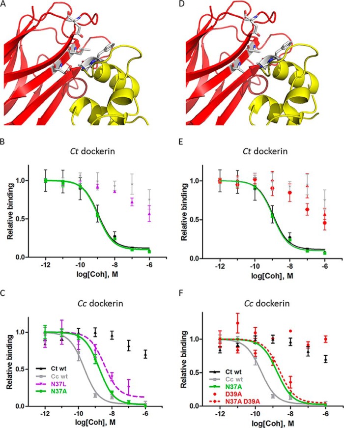 FIGURE 6.