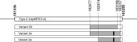 FIG 5