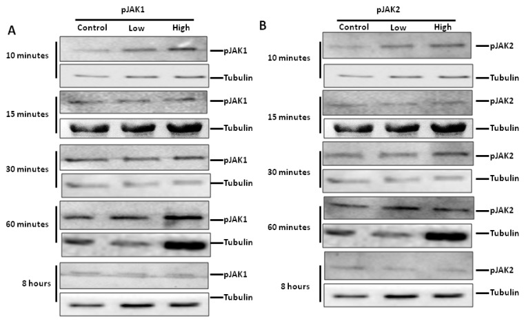 Figure 9