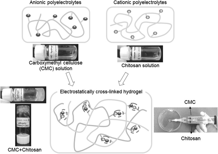 Fig. 1