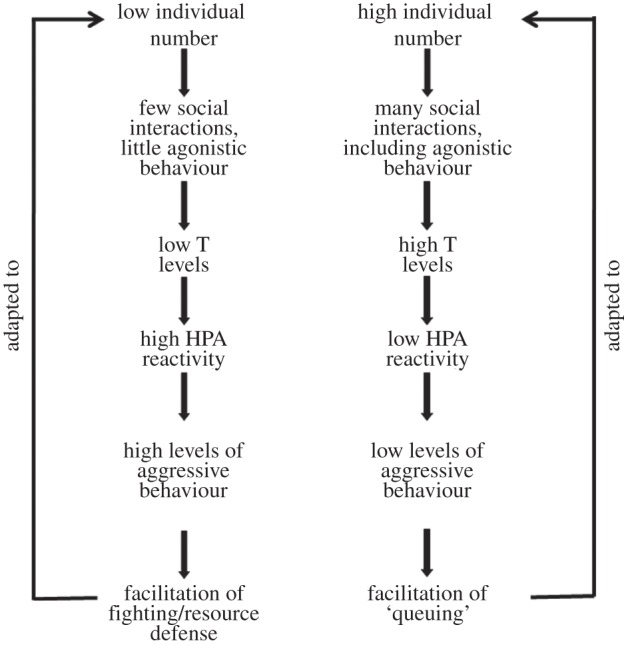 Figure 2.