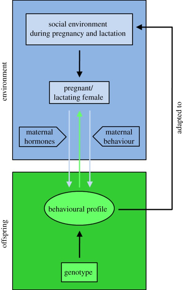 Figure 1.