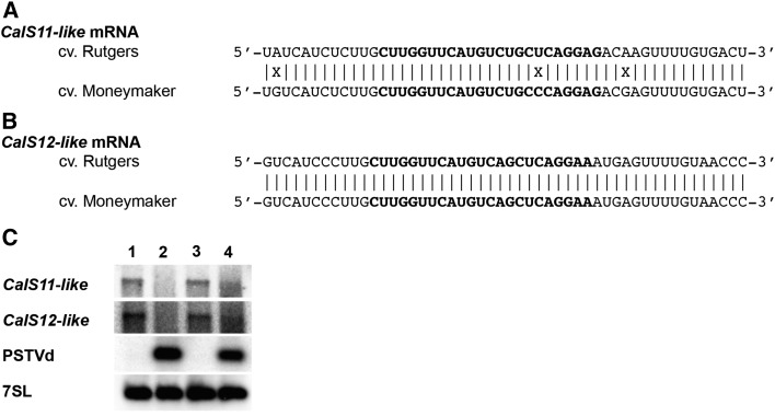 Figure 7.