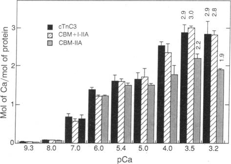 graphic file with name pnas01049-0041-b.jpg