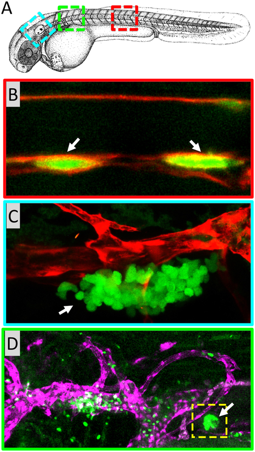 Figure 2: