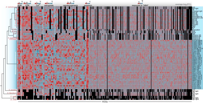 Extended Data Fig. 2