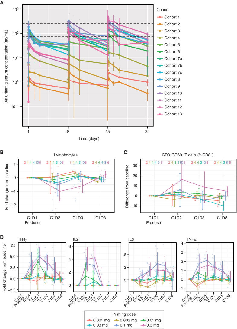 Figure 2. A, Mean (SD) xaluritamig serum concentration vs. time profile by individual cohorts for C1. Black dotted lines represent the lower end of the minimum predicted efficacious exposure based on EC90 for xaluritamig-mediated cell killing in vitro (74 ng/mL) and the upper end of the minimum predicted efficacious exposure based on IC50 for xaluritamig-mediated mouse tumor growth inhibition in vivo (259 ng/mL). Cohort 7c was dosed weekly for C1 and then switched to every 2 weeks starting C2 and beyond, which is not captured in this analysis. At the time of the data cut, there were 94 patients with at least one postbaseline xaluritamig concentration. T-cell pharmacodynamic biomarker response through the first infusion period is dose dependent. Peripheral lymphocyte margination (B), CD8+CD69+ activated T cells as a percentage of total CD8+ T cells (C), and induction of secreted cytokines at the indicated time points after infusion (D). Lines represent median fold change or difference of population percentage from C1D1 predose values ± median average deviation. Transparent points depict individual observations. Sample sizes within each priming dose group at each time point are shown as a strip annotation across the top of each figure. EC, effective concentration; IC, inhibitory concentration.