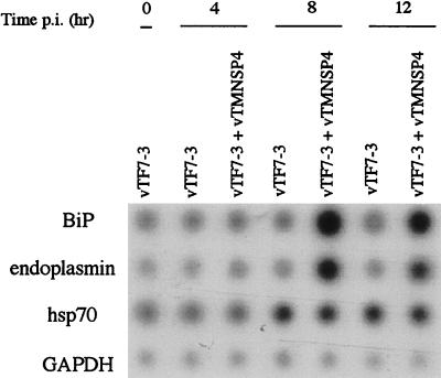 FIG. 5