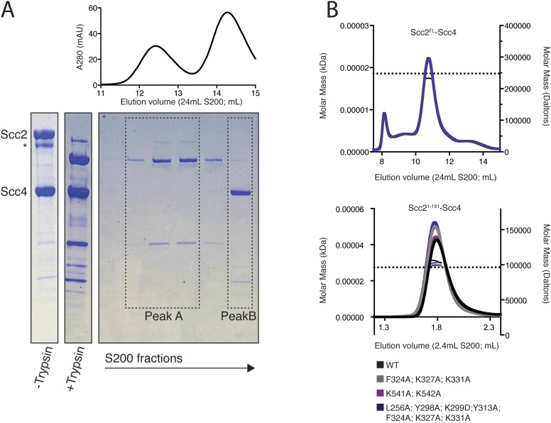 Figure 1—figure supplement 1.