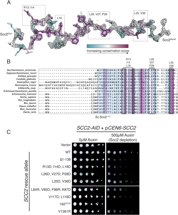 Figure 2—figure supplement 2.