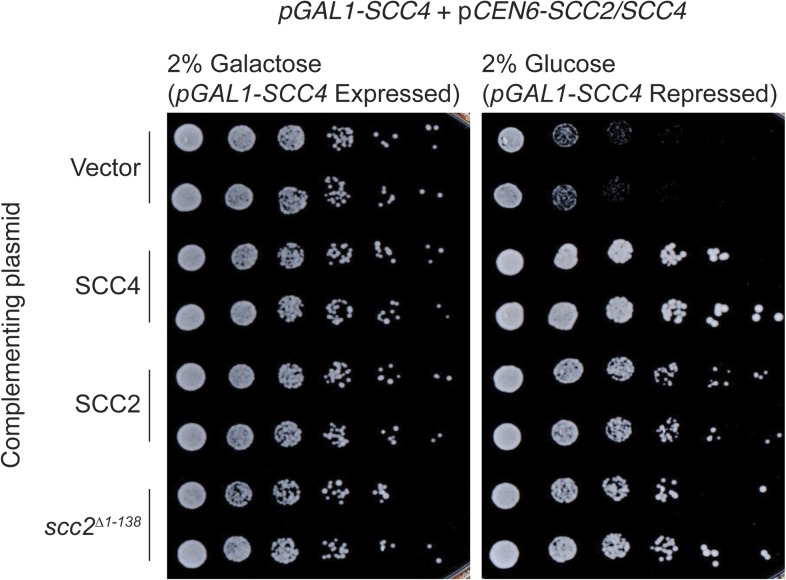 Figure 2—figure supplement 3.