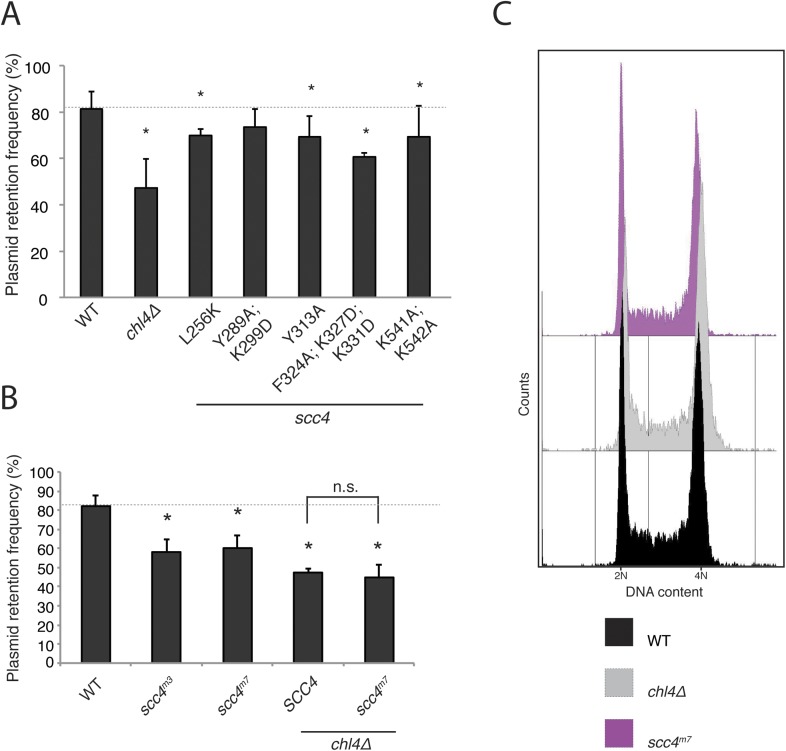 Figure 3—figure supplement 1.