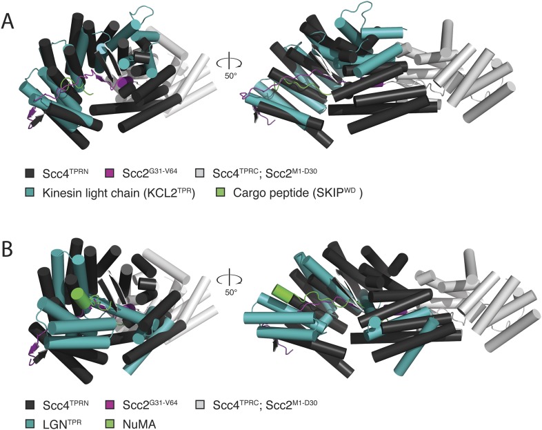 Figure 2—figure supplement 1.