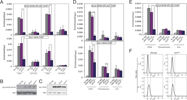 Figure 4—figure supplement 2.