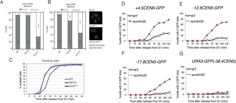 Figure 4—figure supplement 1.