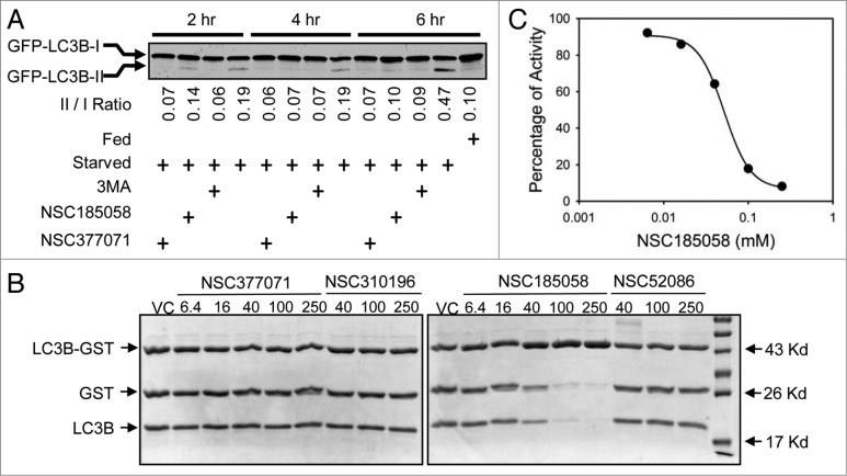 Figure 4.