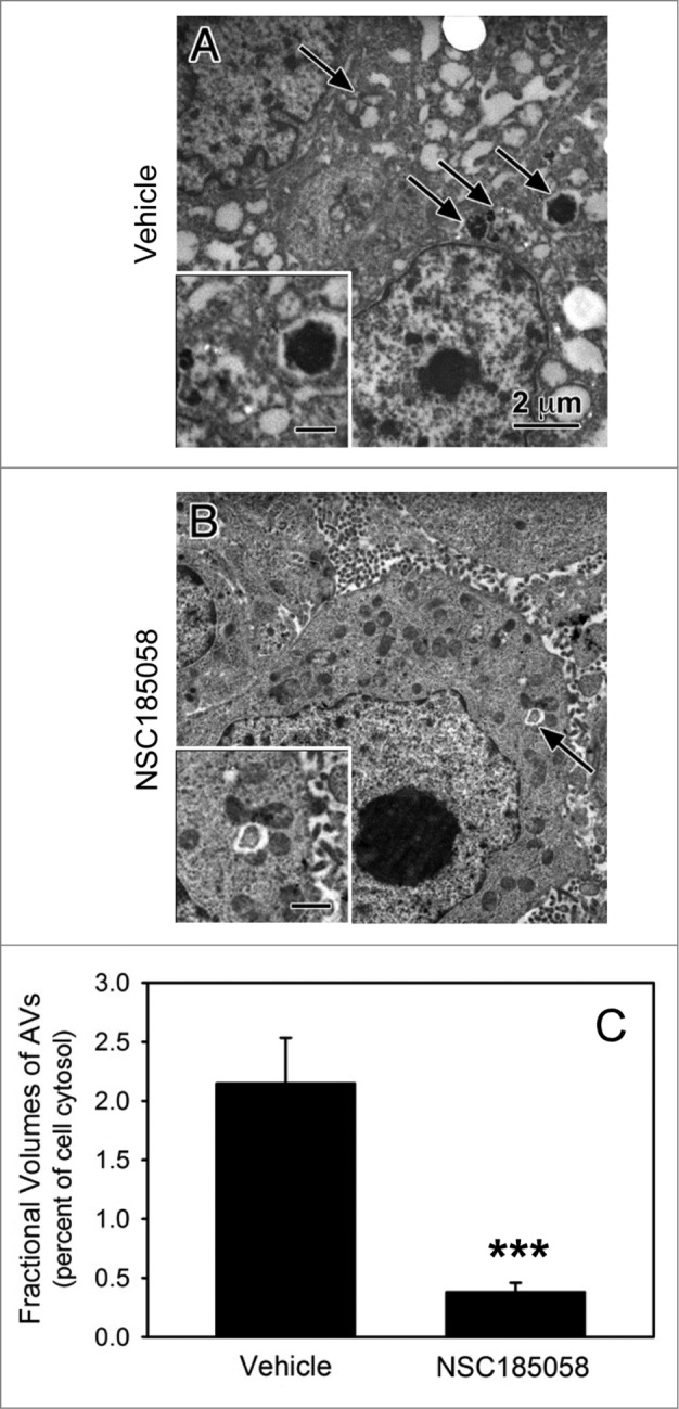 Figure 9.