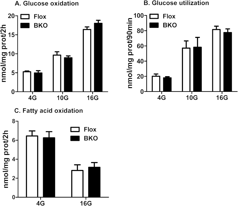 Figure 5