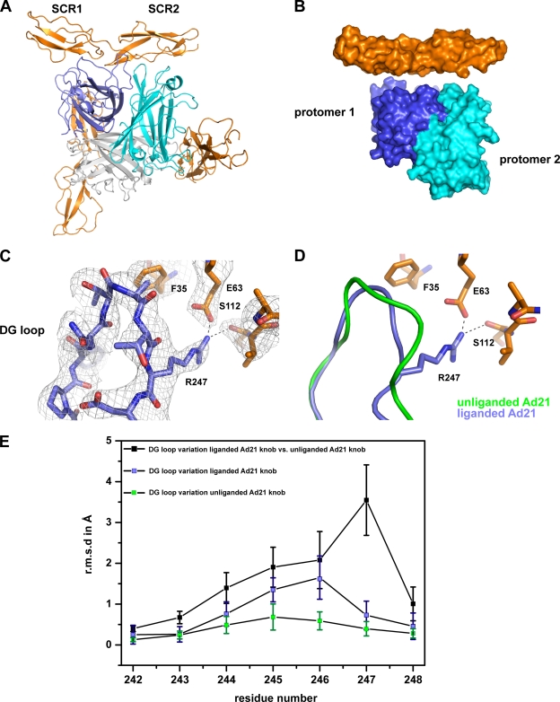 FIG. 4.