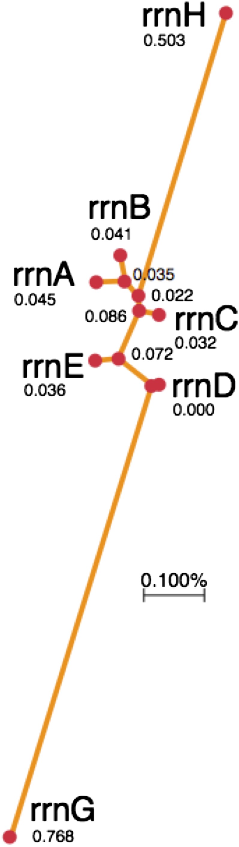 graphic file with name 119fig15.jpg