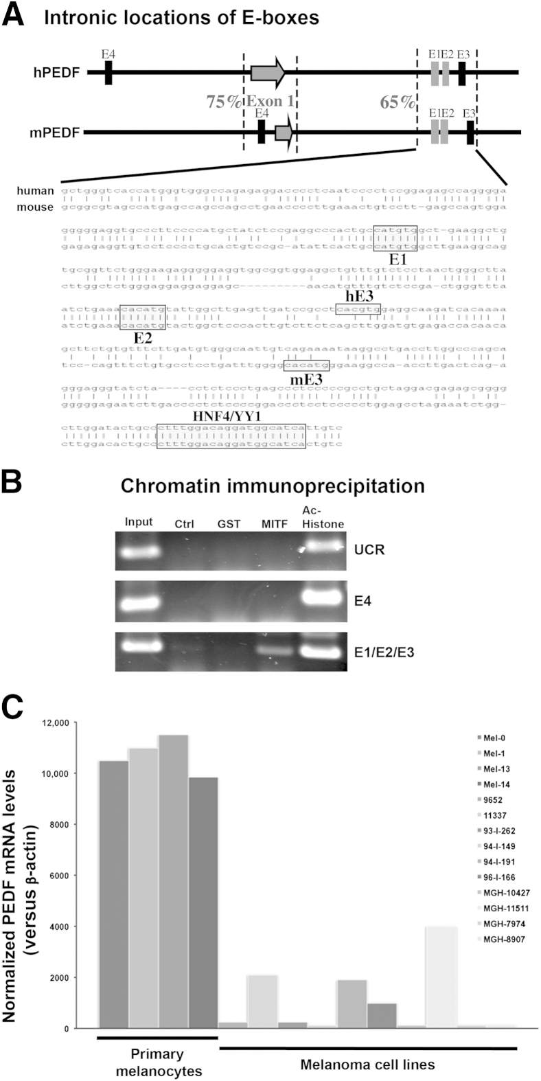 Figure 4