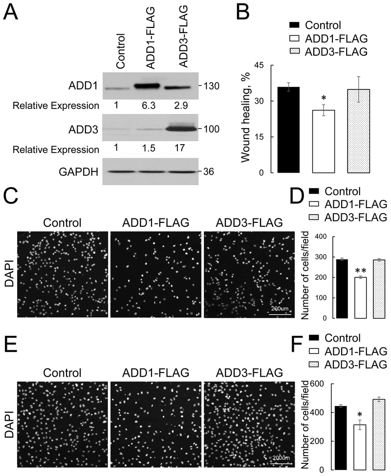 Figure 4: